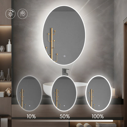 Miroir Oval avec éclairage LED pour salle de bain lumière réglable