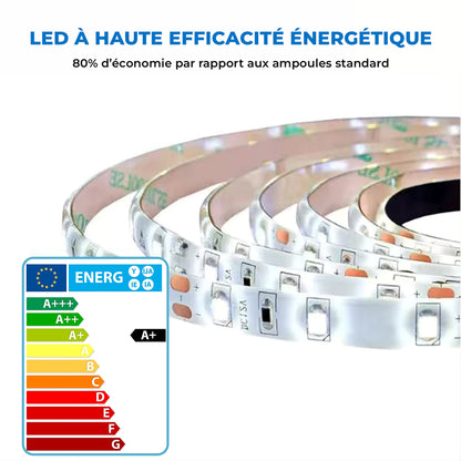 Miroir Oval avec éclairage LED pour salle de bain lumière réglable